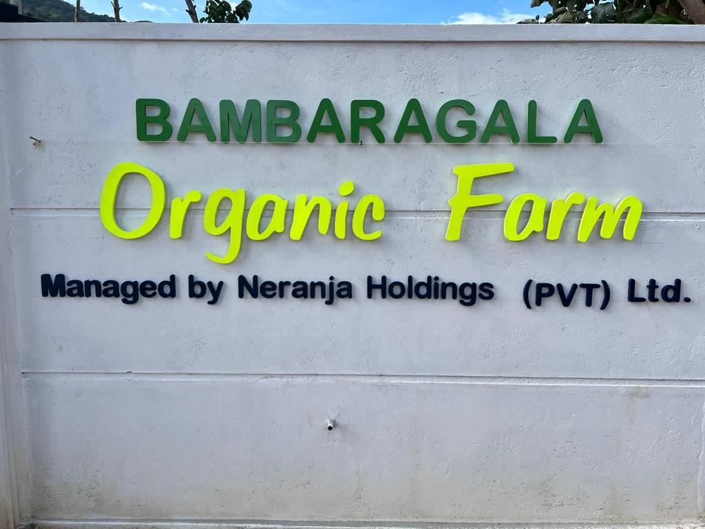 WhatsApp Image 2023-02-27 at 9.25.14 PM